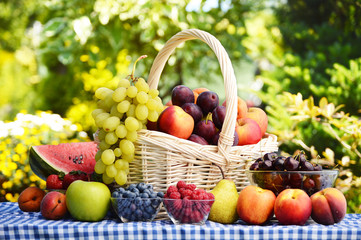 Obraz premium Basket of fresh organic fruits in the garden