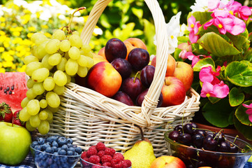 Basket of fresh organic fruits in the garden