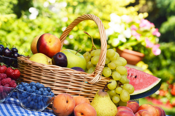 Basket of fresh organic fruits in the garden