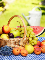 Fototapeta premium Basket of fresh organic fruits in the garden