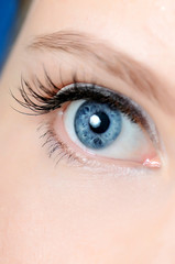 Fototapeta premium Female eye with long eyelashes close-up