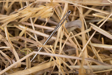 Needle in a haystack