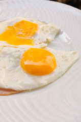 Prepared Egg