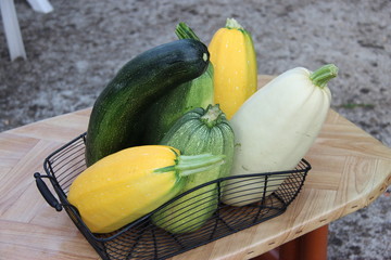Fototapeta premium Courgettes