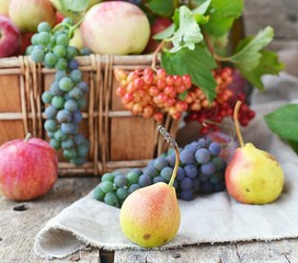 autumn fruits