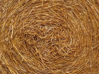 Strohballen