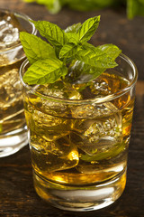Homemade Gourmet Mint Julep