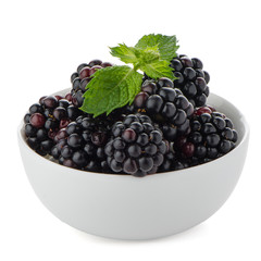 Blackberries in White Bowl
