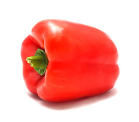 Red paprika (pepper) isolated on a white background