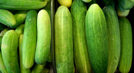 fresh green cucumber collection outdoor on market macro