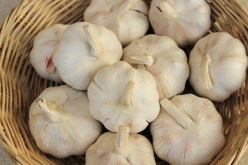 Garlic in basket