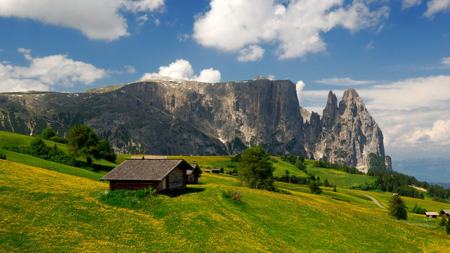 Seiser Alm mit Schlern im Hintergrund