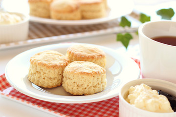 Home-baked scones with clotted cream, blackcurrant jam and tea