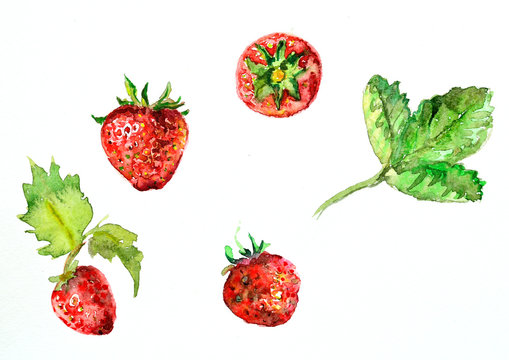 watercolor painting of strawberries