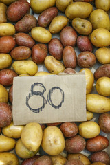 harvested potato tubers different varieties