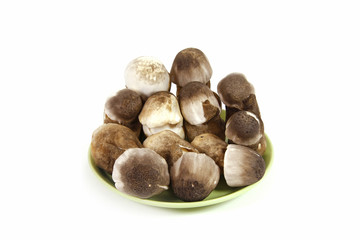 Straw mushroom in dish isolated on white background