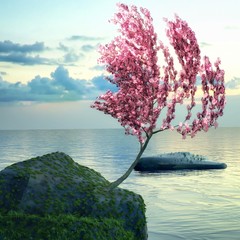 Obrazy  Kwiat drzewa nad Oceanem