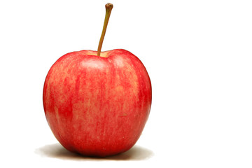 Red apple on white background