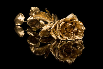 Golden rose against a dark background with reflection