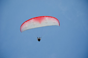 paraglider