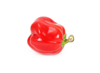 red sweet pepper isolated on white background