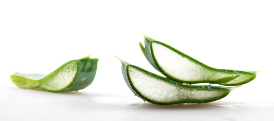 Aloe vera plant isolated on white