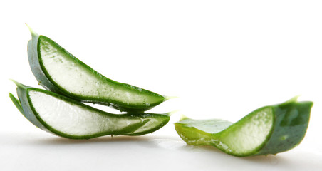 Aloe vera plant isolated on white