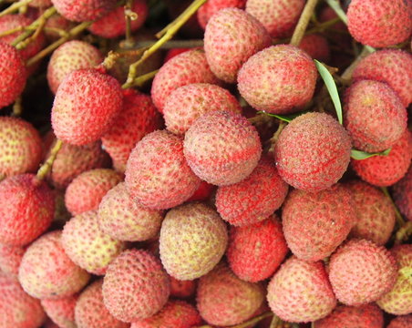 Lychee,Thai fruit
