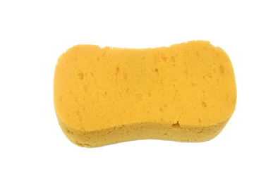 Old Sponge isolated