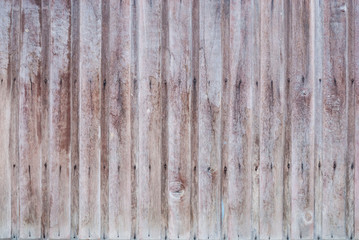 Wood Background/ Texture