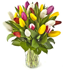 bouquet tulips in vase isolated on white background