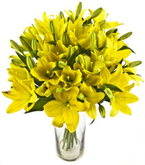 bouquet of yellow lilias in vase on white background