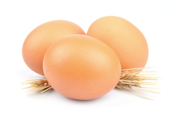 wheat and egg