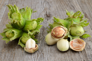 fresh hazelnuts