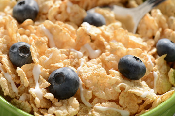 Bowl of Cereal with Blueberries Close Up