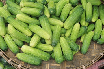 Cucumber in basket