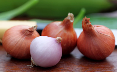 Fresh onion with other ingredients