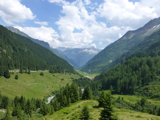 Fototapeta na wymiar Grüne Alpen