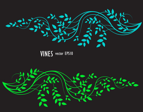 silhouette of vine and leaves, floral decorative element