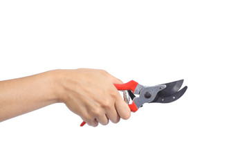 Woman hand holding a closed secateurs