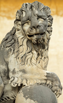 lion sculpture from Boboli Gardens, Florence