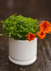 Green basil and Marigold flowers in mortar