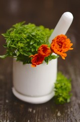 Green basil and Marigold flowers in mortar