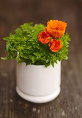 Green basil and Marigold flowers in mortar