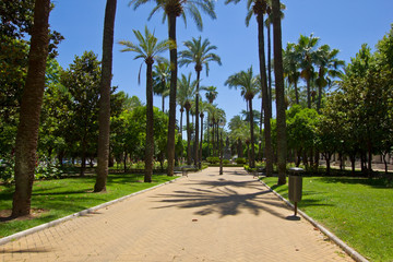 Obraz premium Park in Cordoba, Spain