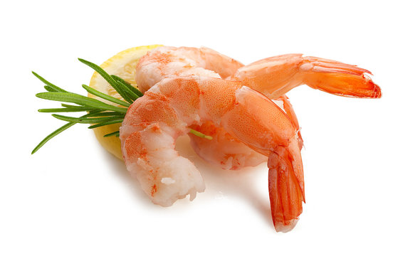 Shrimp's tails