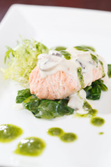 Salmon Fillet in Cream Sauce