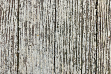 Very rough and rusty cement floor