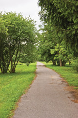 Fototapeta na wymiar Old pathway in woods, aged weathered tarmac asphalt