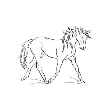 running horse vector outline